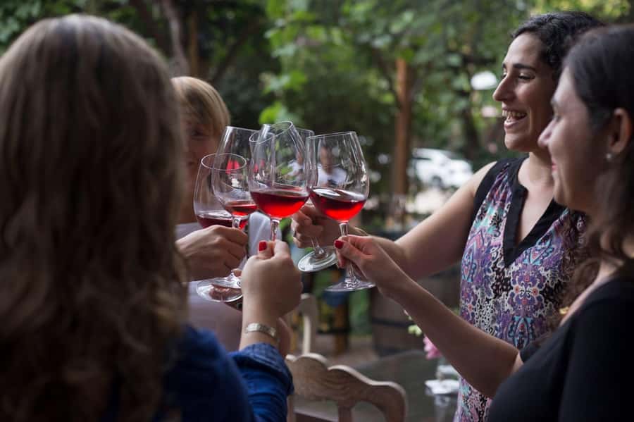 Mendoza: Wine Tasting Tour with Lunch and Private Transport - Is $220 Per Person Good Value?
