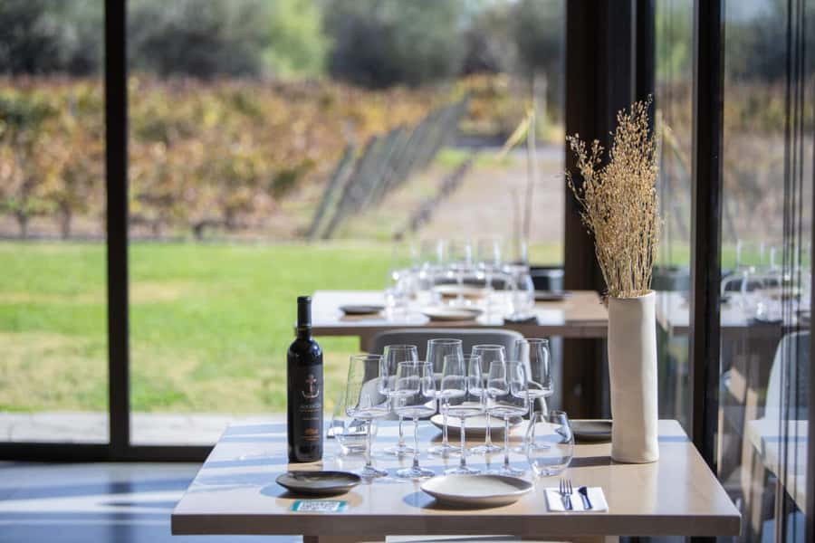 Mendoza: Wine Tasting Tour with Lunch and Private Transport - The Morning Pickup and Ride Through Mendoza