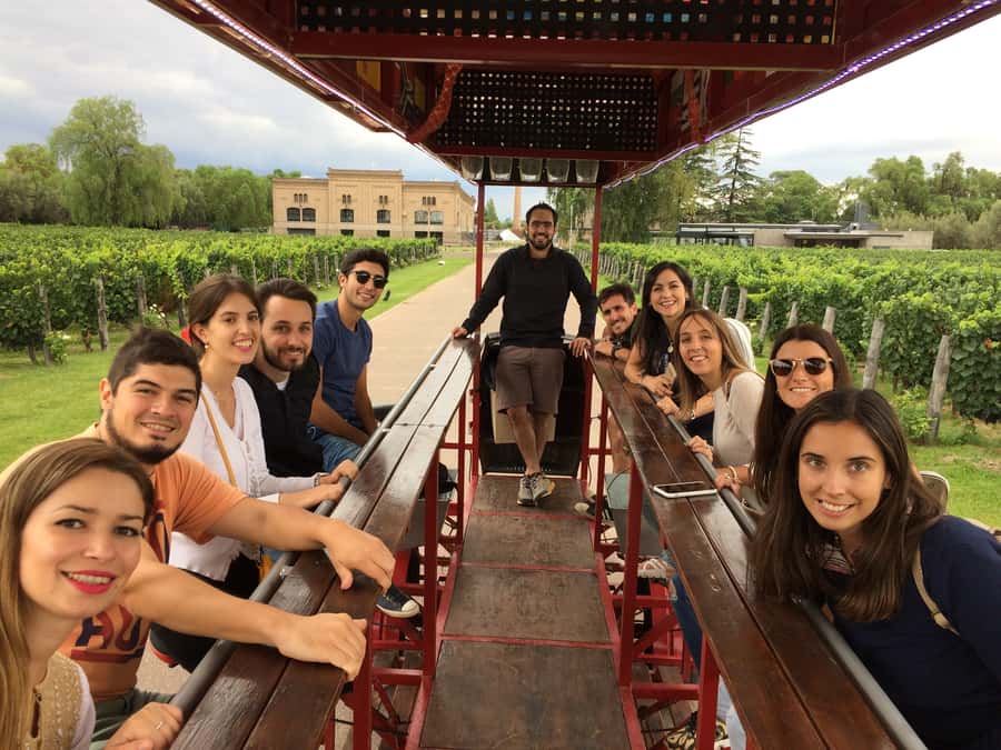 Mendoza: Winebike Tasting Tour with Optional Lunch - A lively half-day in Mendoza’s wine country