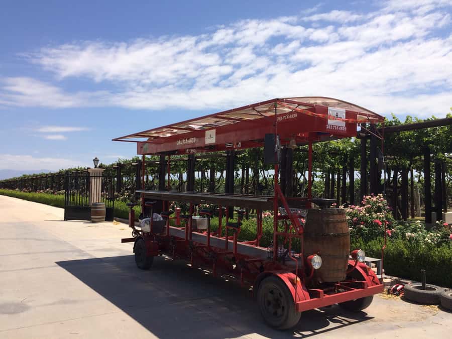 Mendoza: Winebike Tasting Tour with Optional Lunch - The multi-bike ride through the vineyards