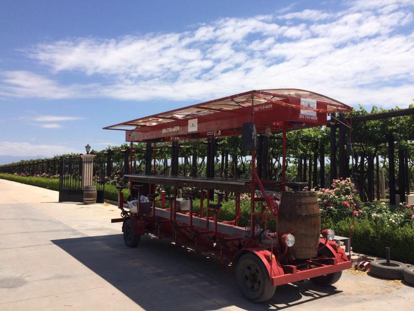 Mendoza: Winebike Tasting Tour with Optional Lunch - Wine, food, and a social pace