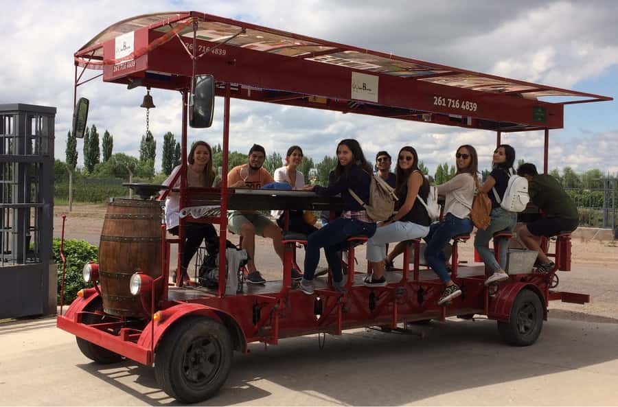 Mendoza: Winebike Tasting Tour with Optional Lunch - Starting at Carinae at 10 am