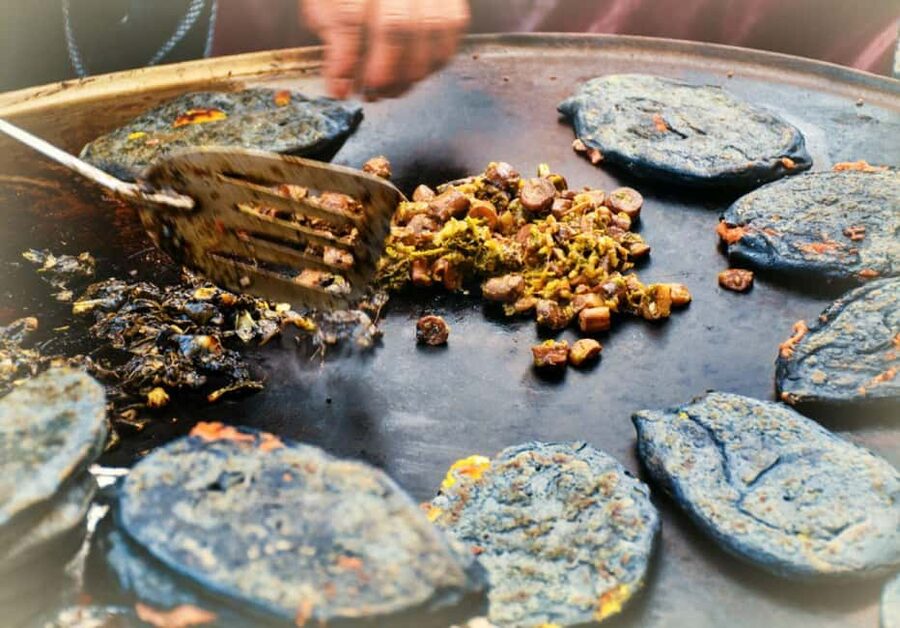 Mexico City: Vegan and Vegetarian Street Food Adventure - Key points to know before you book