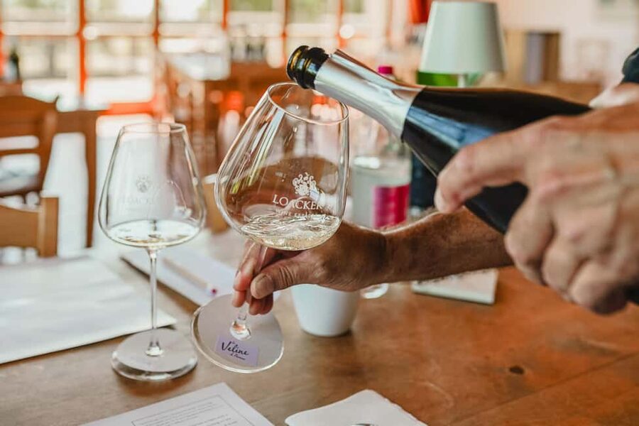 Montalcino: Guided Winery Tour & Gourmet Food Tasting - Who should book this experience?