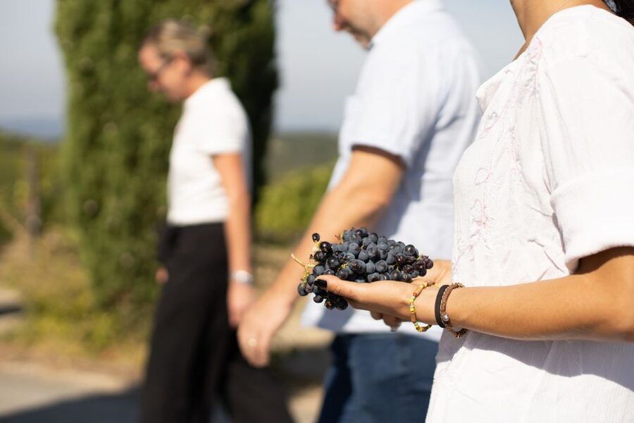 Montalcino: Guided Winery Tour & Gourmet Food Tasting - What the strongest wine moment may be