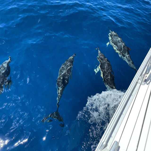 Morro Jable: Sailing Boat Excursion with Food and Drinks - Stopping for a swim and snorkeling near the coast