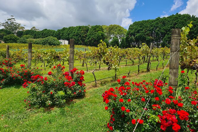 Mount Tamborine Wine Tasting Tour from Brisbane or the Gold Coast - The morning pickup and minivan ride