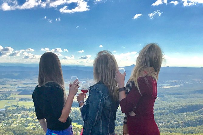 Mount Tamborine Wine Tasting Tour from Brisbane or the Gold Coast - Four tasting venues with a changing pace