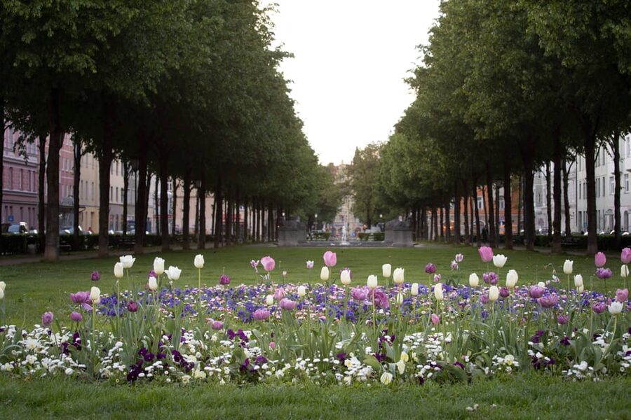 Munich: 3-Hour Food Tour Through Haidhausen in GERMAN - What the tastings add to the walk