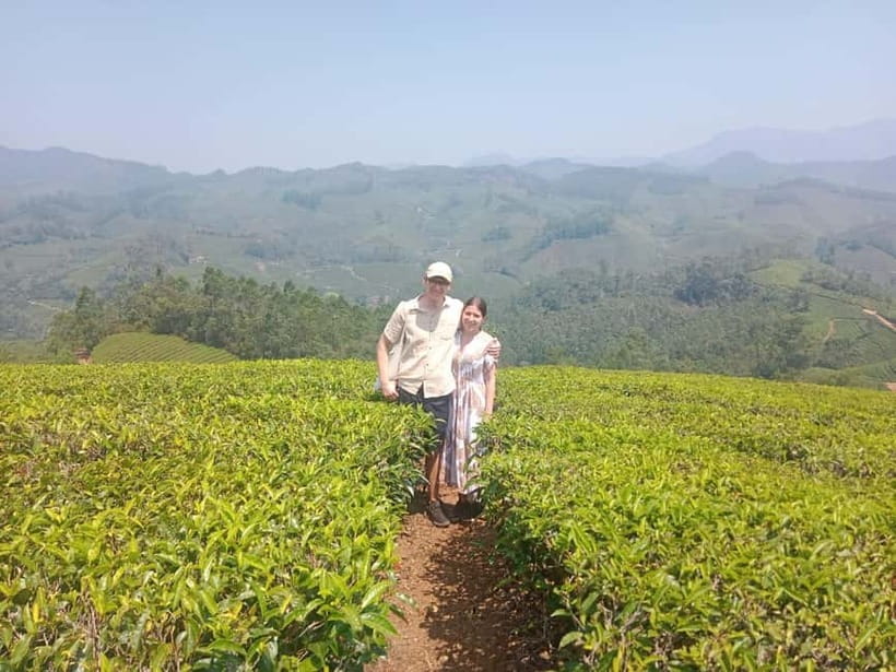 Munnar: Tea trail, Tea Factory, and Tea Tasting Tour - Why Munnar’s tea fields are worth your morning