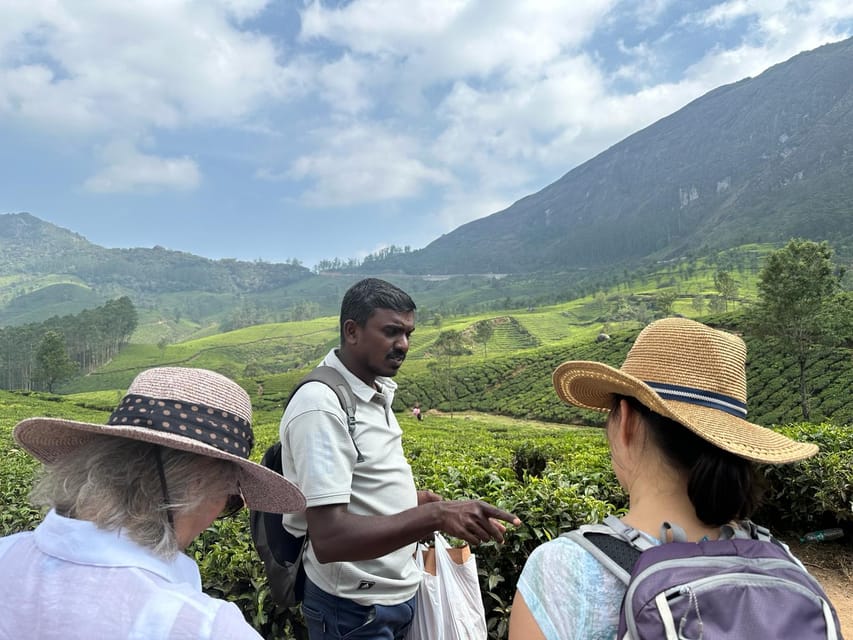 Munnar: Tea trail, Tea Factory, and Tea Tasting Tour - Group size, pace, and practical comfort