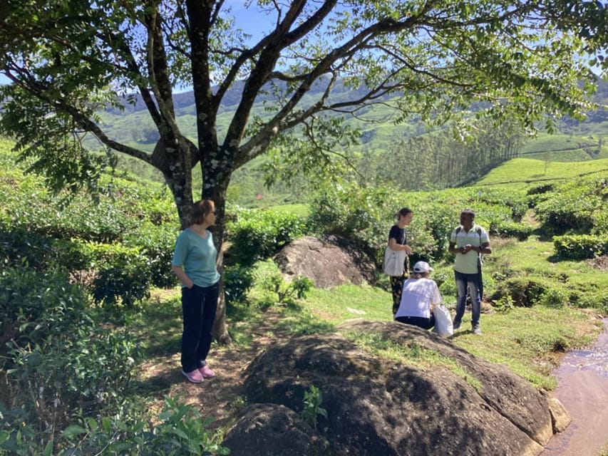 Munnar: Tea trail, Tea Factory, and Tea Tasting Tour - Who will enjoy this Munnar tea tour?