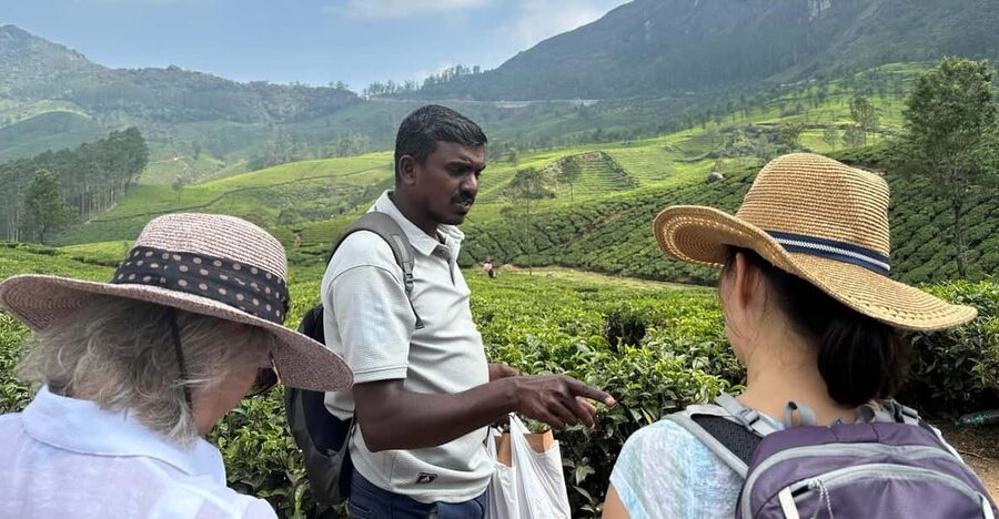 Munnar: Tea trail, Tea Factory, and Tea Tasting Tour - Value, cancellation, and booking flexibility