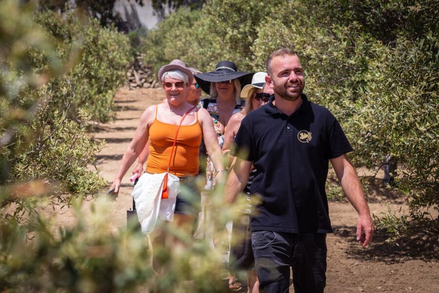 Mykonos: Winery Vineyard Experience with Food & Wine Tasting - The wine, olive oil, and local food tasting