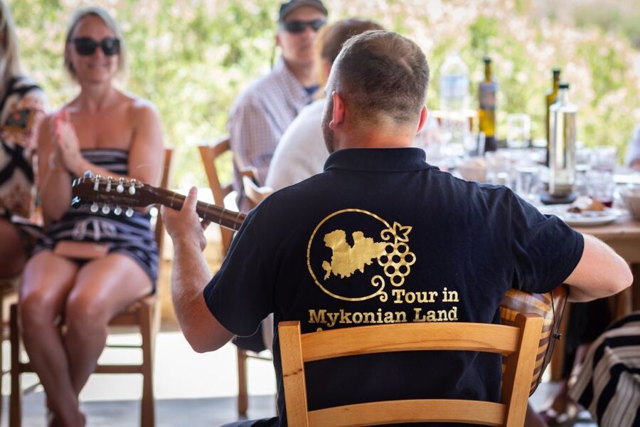 Mykonos: Winery Vineyard Experience with Food & Wine Tasting - Traditional music turns a tasting into a gathering