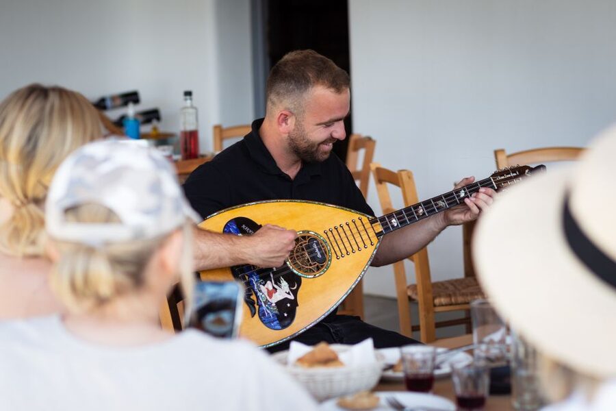 Mykonos: Winery Vineyard Experience with Food & Wine Tasting - The best way to fit it into your day