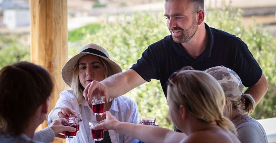 Mykonos: Winery Vineyard Experience with Food & Wine Tasting - Walking through olive trees and grapevines