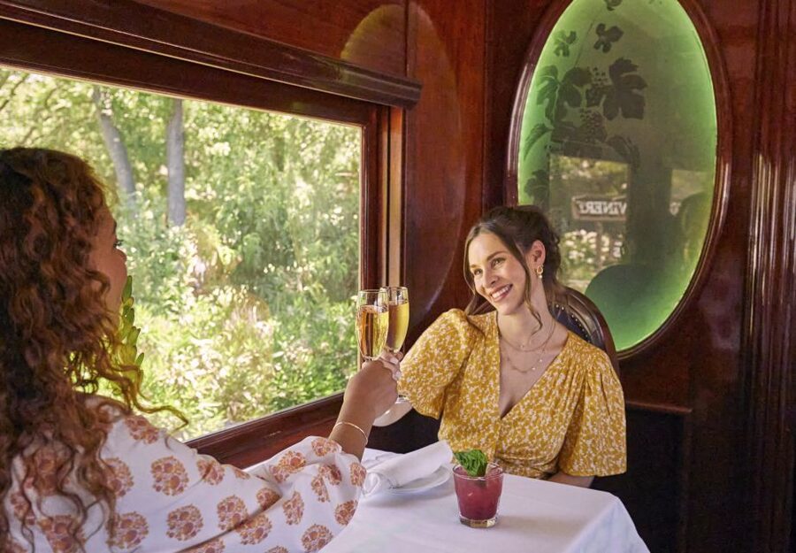 Napa Valley Wine Train: Gourmet Express Lunch or Dinner - What the Lunch Journey Offers