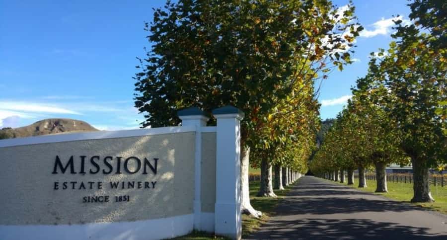 Napier: Afternoon Winery & Gin Tasting Tour Thu Fri Sat - Key points at a glance