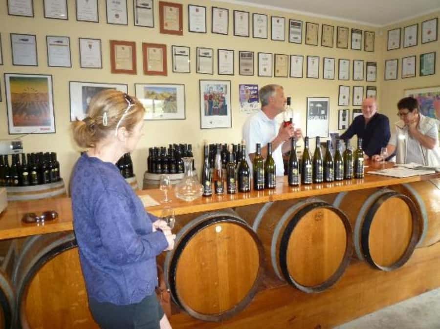 Napier: Afternoon Winery & Gin Tasting Tour Thu Fri Sat - Timing, schedule, and possible changes