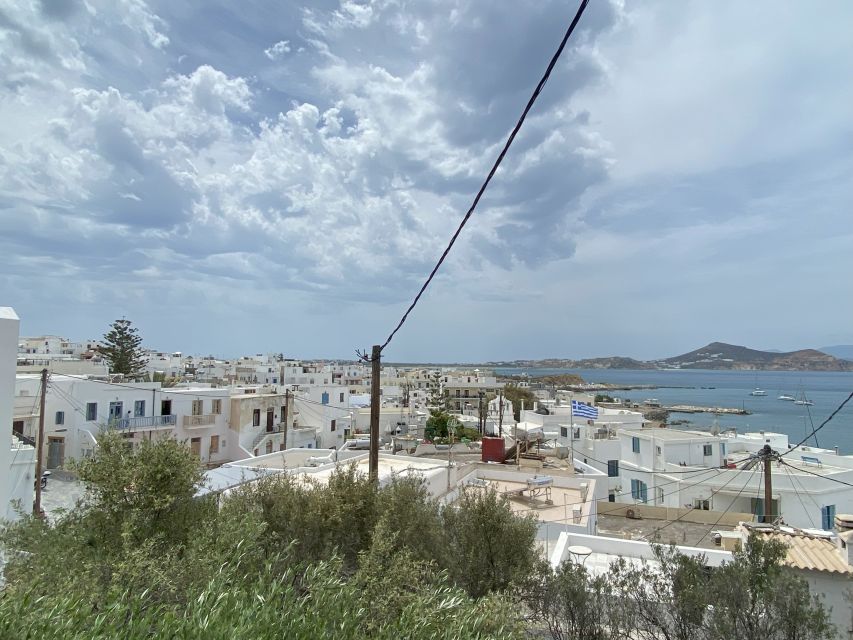 Naxos: Food Walking Tour & Cooking Class with Meal & Drinks - Why this Naxos food tour works so well