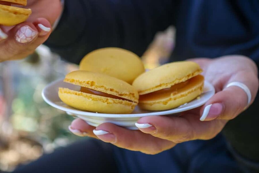 Nice: Old Town Food Walking Tour - Who will enjoy this Nice food walk?