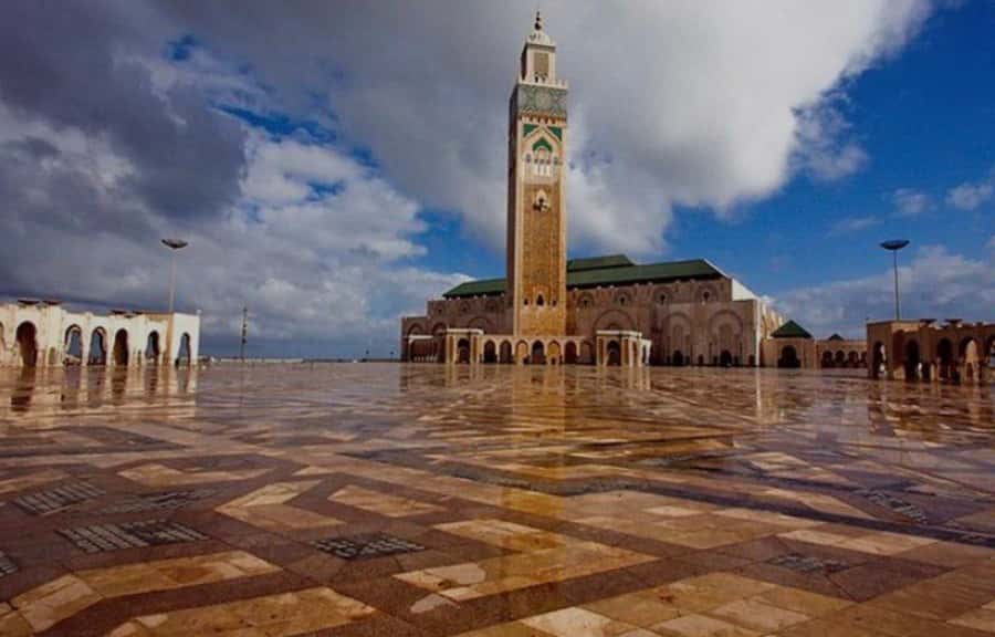 Night Tour of Casablanca with Street Food Tasting - Habbous: shopping, food, and a longer pause
