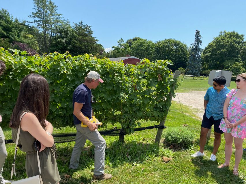 NYC: Long Island Sommelier-Guided Wine Tasting Tour - The First Winery: Time to Taste, Ask, and Look Around