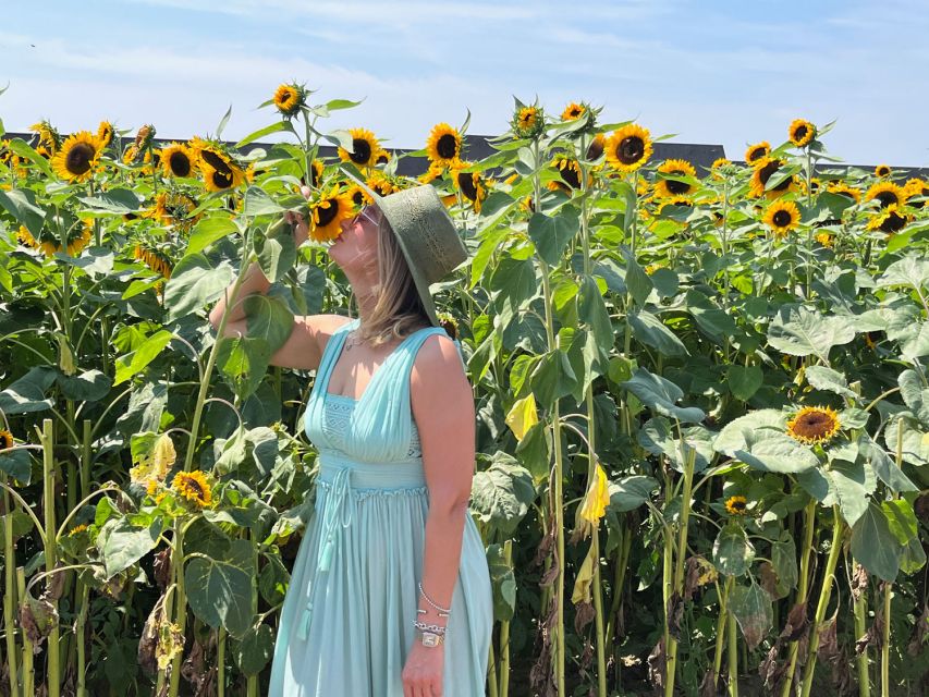 NYC: Long Island Sommelier-Guided Wine Tasting Tour - Weather, Comfort, and Small Practical Details