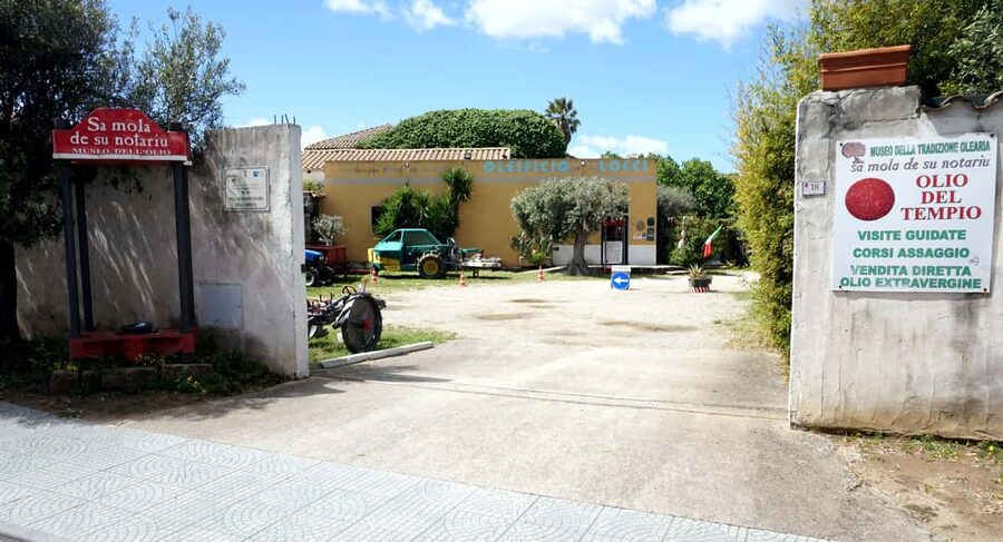 Olive Oil Museum: Extravirgin school - Food & wine tasting - Five things to know before you go
