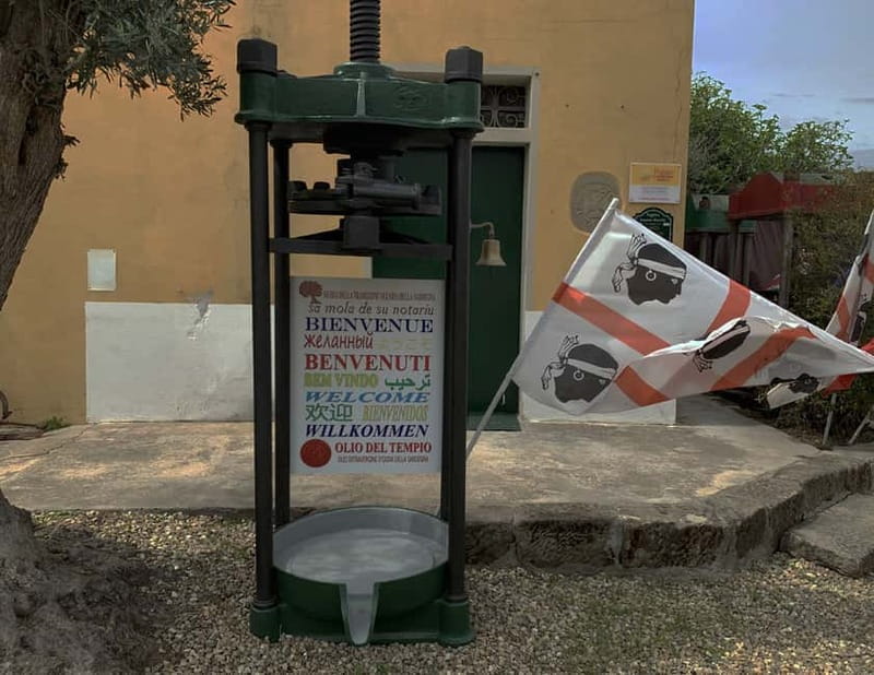 Olive Oil Museum: Extravirgin school - Food & wine tasting - Why an olive oil lesson belongs on a Sardinia itinerary