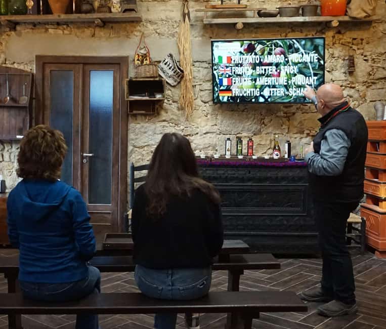 Olive Oil Museum: Extravirgin school - Food & wine tasting - Stop 2: Seeing how modern olive oil is produced