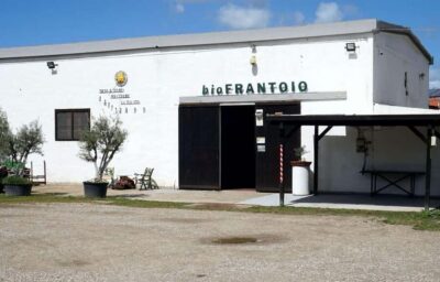 Olive Oil Museum: Extravirgin school – Food & wine tasting