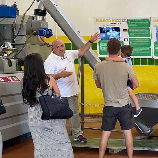 Olive Oil Museum: Extravirgin school - Food & wine tasting - Sardinian food, sparkling wine, and carasau bread