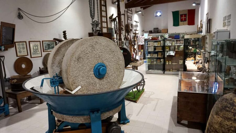 Olive Oil Museum: Extravirgin school - Food & wine tasting - Buying oil after the tasting