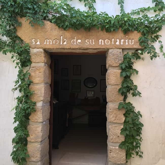 Olive Oil Museum: Extravirgin school - Food & wine tasting - What the one-hour schedule really means