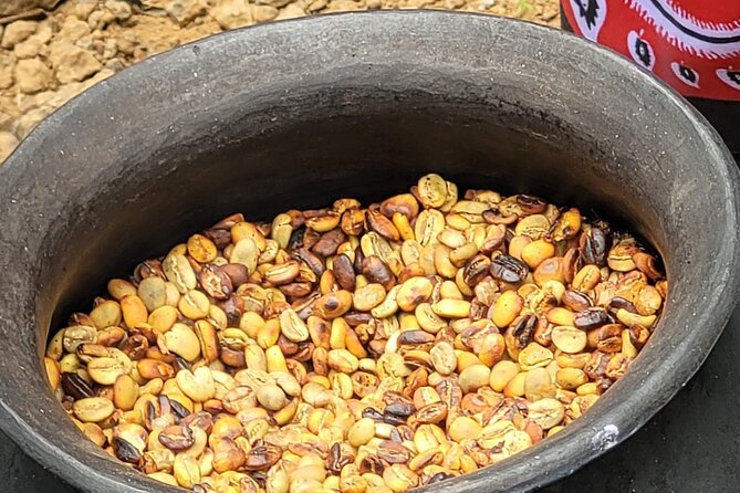 Organic Coffee Tour and Local Food Experience in Arusha - Picking coffee beside the family’s plants
