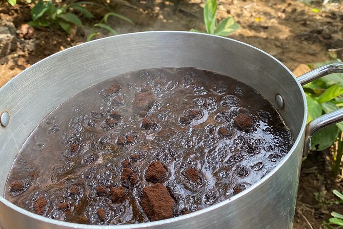 Organic Coffee Tour and Local Food Experience in Arusha - Clay pots, firewood, and Tanzanian dishes