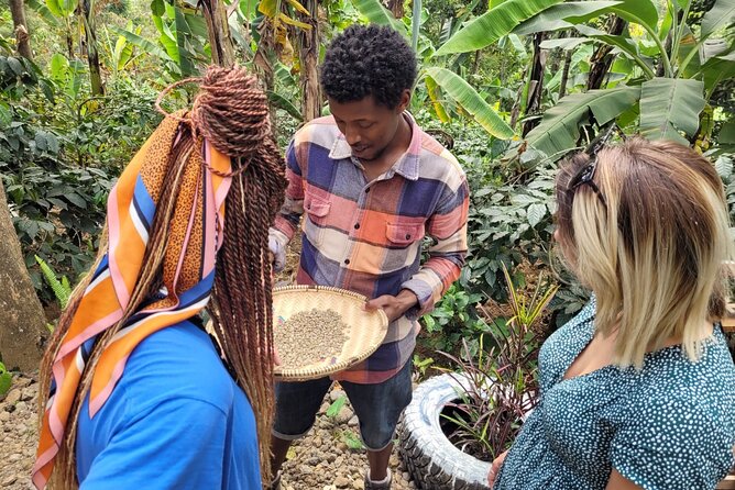 Organic Coffee Tour and Local Food Experience in Arusha - What the $45 price really includes
