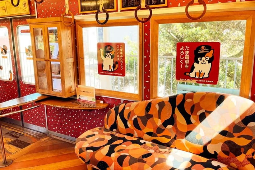 Osaka: Wakayama Cat Train, Seafood market, Hot Springs Tour - Why this unusual Wakayama day trip works