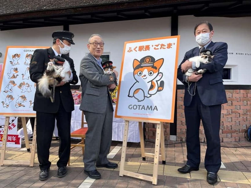 Osaka: Wakayama Cat Train, Seafood market, Hot Springs Tour - Meeting at Nipponbashi and leaving Osaka
