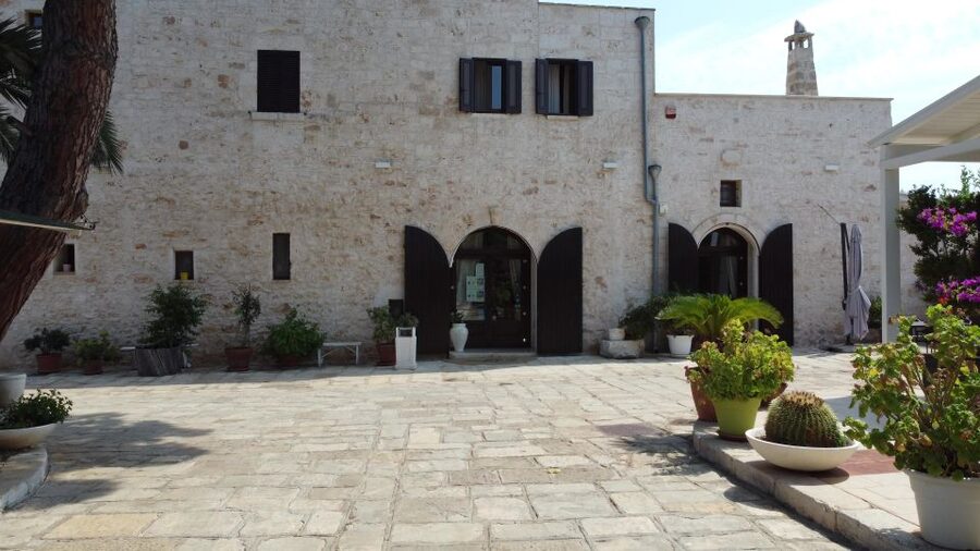 Ostuni: Olive Oil Tasting Tour - What the $53 price really buys you