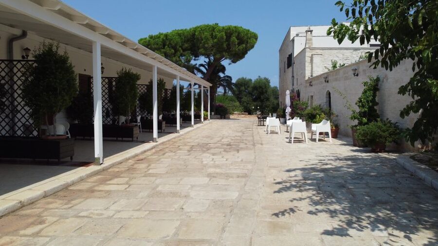 Ostuni: Olive Oil Tasting Tour - Should you book this olive oil tour?