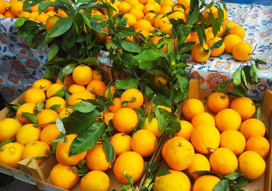 Palermo: Street Food Walking Tour with Local Guide & Tasting - Meeting near Teatro Massimo