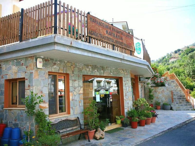 Paphos: Gourmet Cyprus Tour – Local Flavors & Wine - The Troodos Mountains lunch break