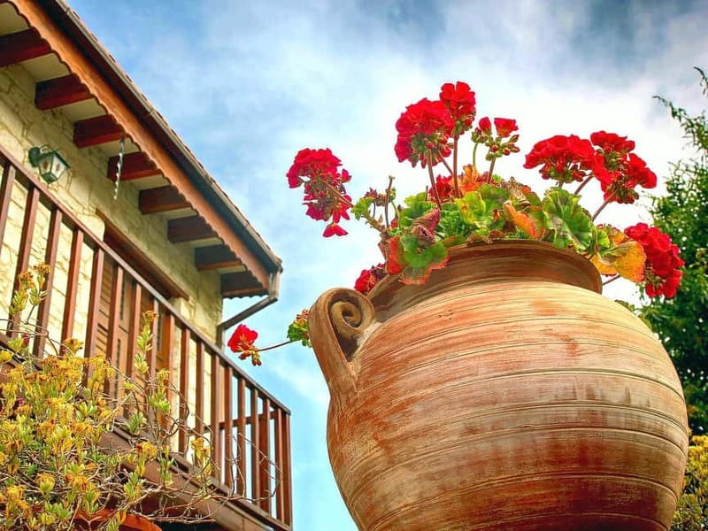 Paphos: Gourmet Cyprus Tour – Local Flavors & Wine - Foini and loukoumi made the old-fashioned way
