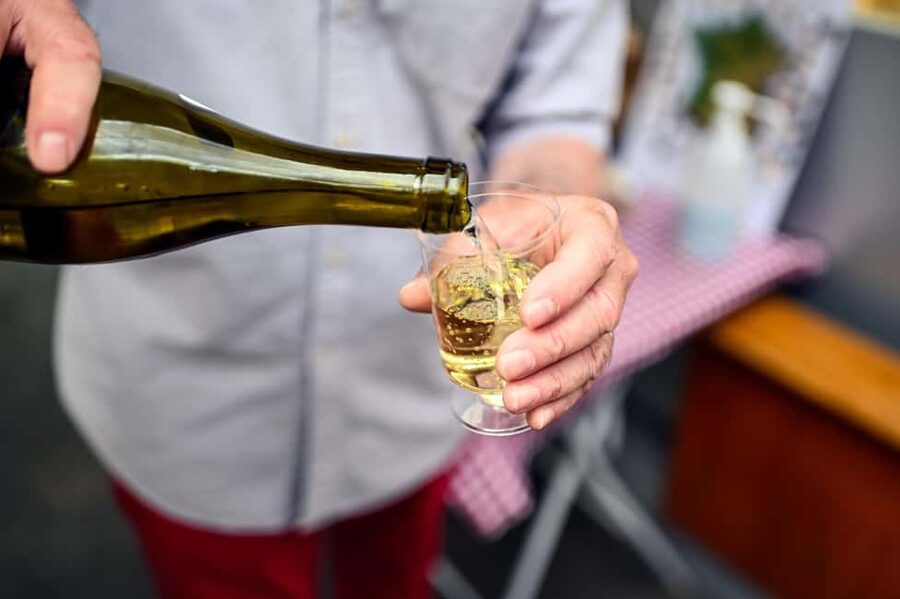 Paris: Le Marais District Food Tour with 10+ Tastings & Wine - Place des Vosges, medieval houses, and elegant townhouses