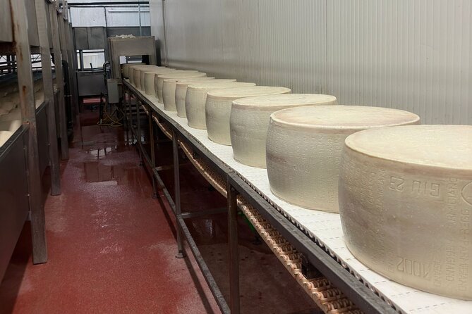 Parmesan and Balsamic Food Tour with Ferrari Museum - The family producer behind Modena balsamic