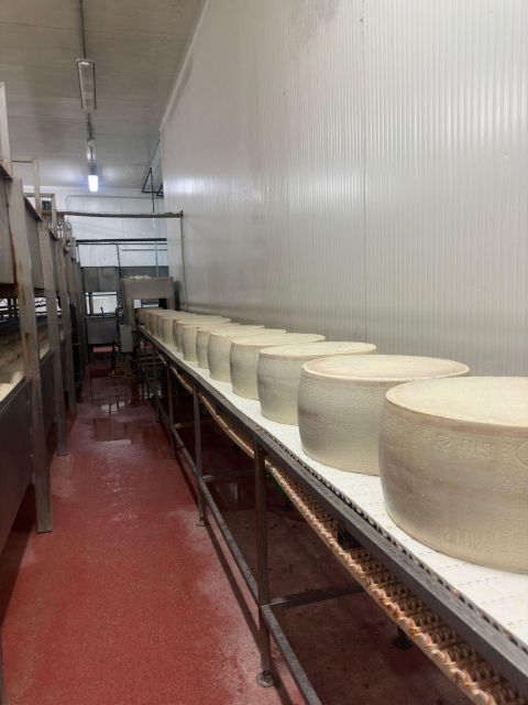 Parmesan and Balsamic Food Tour with Ferrari Museum - Ferrari Museum in Maranello