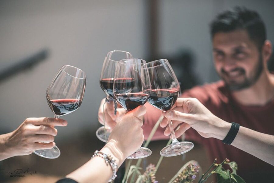 Partinico: Historic Sicilian Vineyard & Wine Tasting Tour - What the guides add to the visit